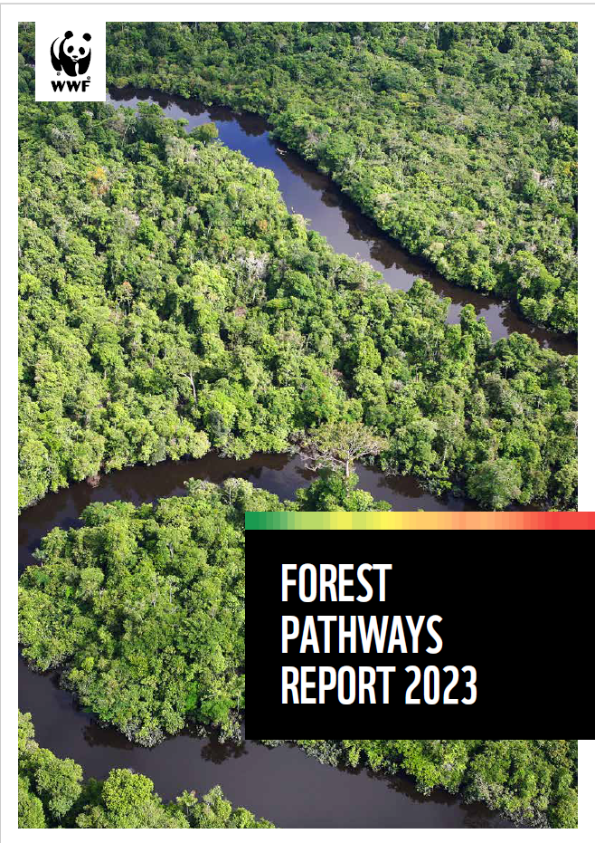 Forest Pathways Report                                                                                                                                                                                  