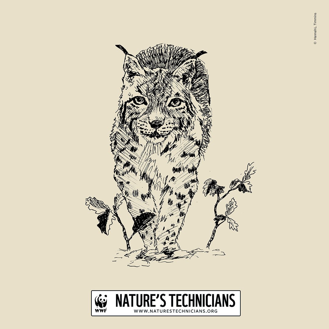 Nature's Technicians                                                                                                                                                                                    